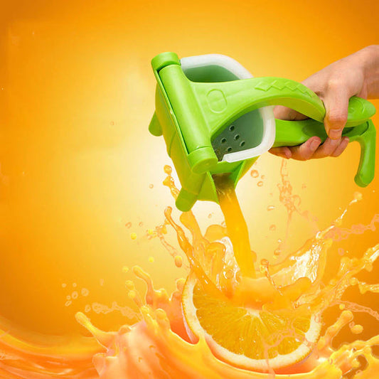 FRUIT JUICER